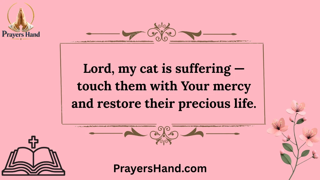 healing-prayer-for-sick-pets