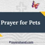 prayer-for-pets