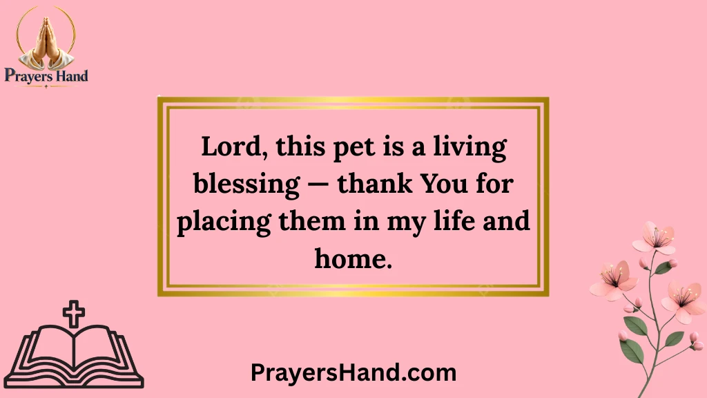 prayer-for-pets-comfort-and-gratitude