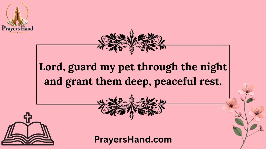 prayer-for-pets-daily-blessings