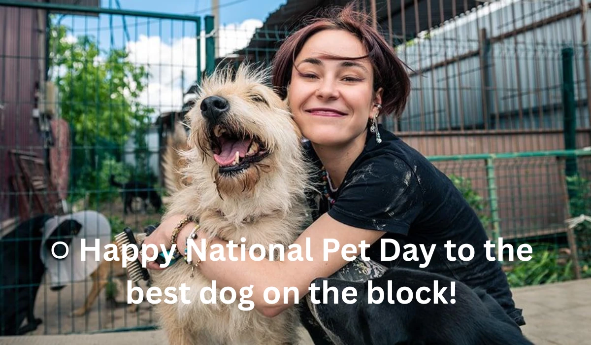 National Pet Day Messages for Dog Lovers